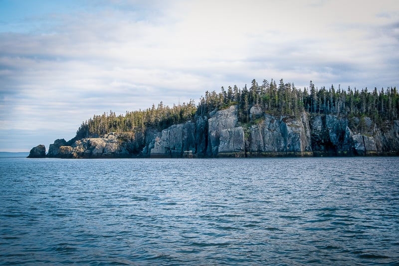 As far as Maine beach towns go, Lubec is on the wilder side.