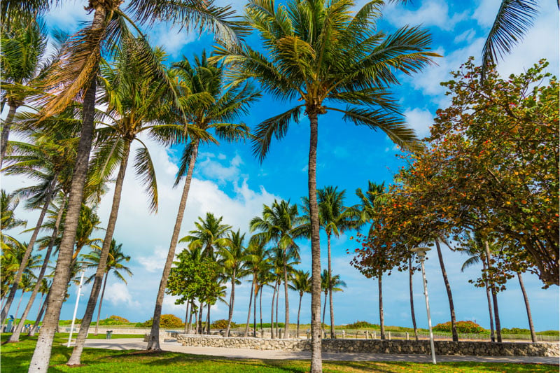 Beachfront park with lush greenery, sandy beaches, a promenade, outdoor gym, and pop-up markets for local crafts and food.