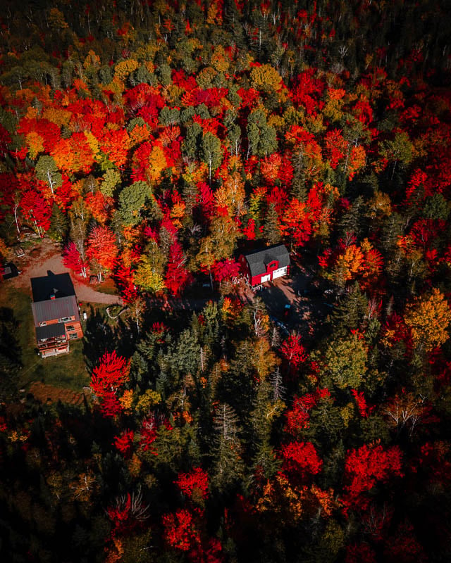 An aerial view of a house nestled amidst vibrant fall foliage, showcasing the beauty of the season