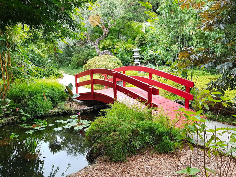 Miami Beach Botanical Garden is also a community hub celebrating nature through peace, education, and scenic strolls.