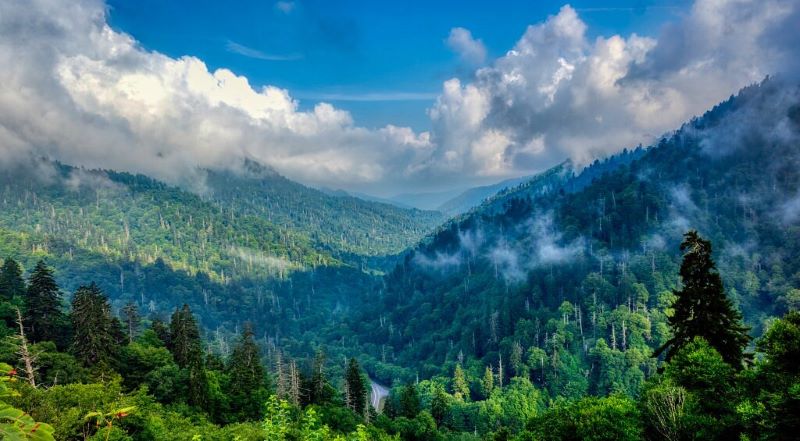 A panoramic view of Morton Overlook, with majestic mountains stretching into the distance and a clear blue sky above