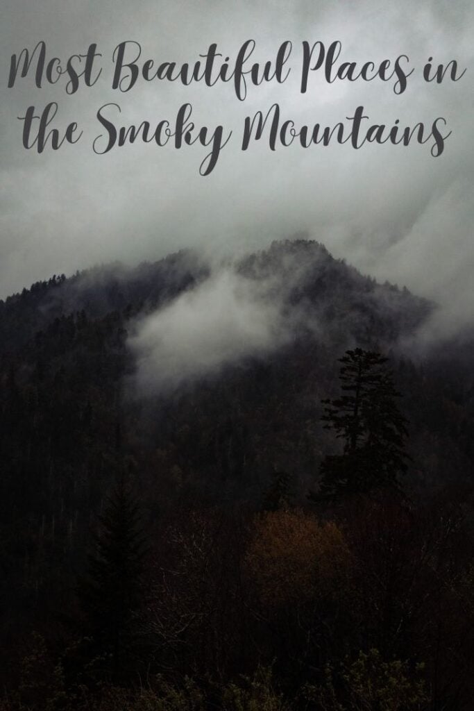 The most beautiful places in the Smoky Mountains right now