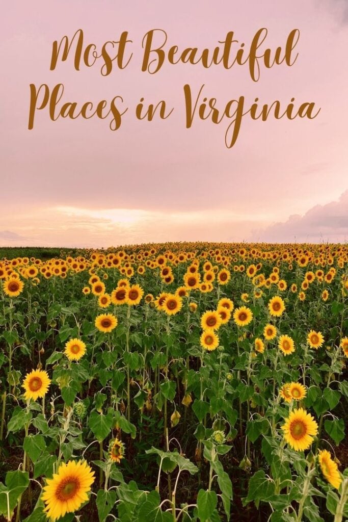 The most beautiful places in Virginia right now
