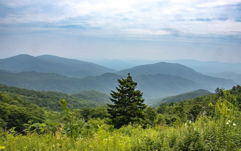 Mount Mitchell State Park—a majestic haven in the Appalachian Mountains of North Carolina, home to the highest peak east of the Mississippi River.