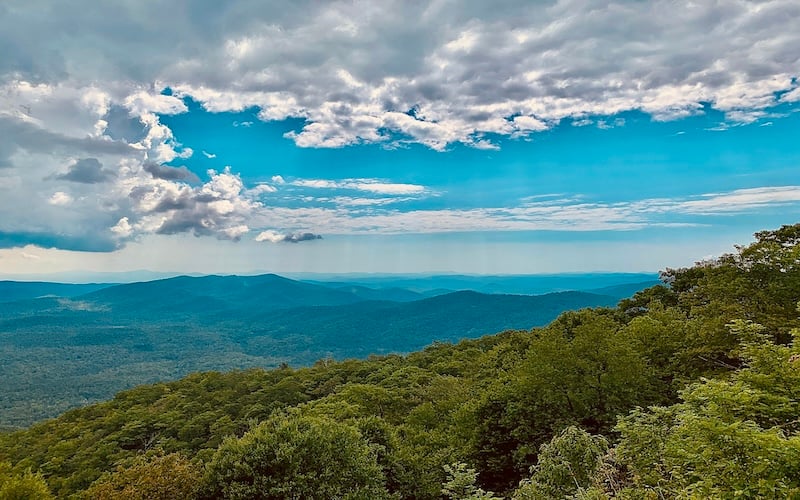 Pisgah National Forest—a vast expanse of natural beauty in the Appalachian Mountains of North Carolina.