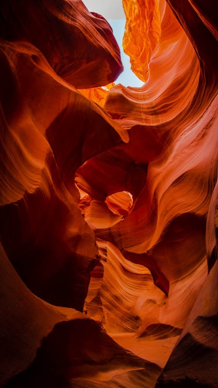 Nature at its finest in Arizona