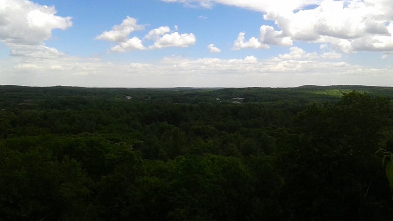 If you'd want to live in the hills near all of the city's attractions, Oak Hill Park is one of the top areas in Boston to consider.