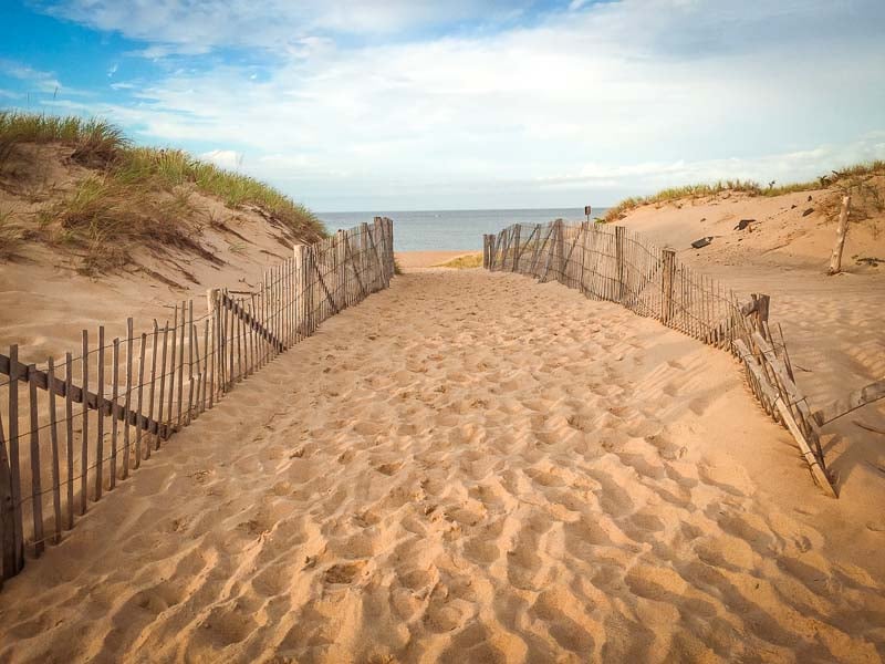 A beach in Provincetown