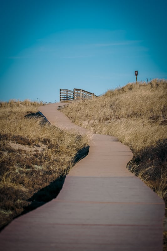 Plum Island near Newburyport