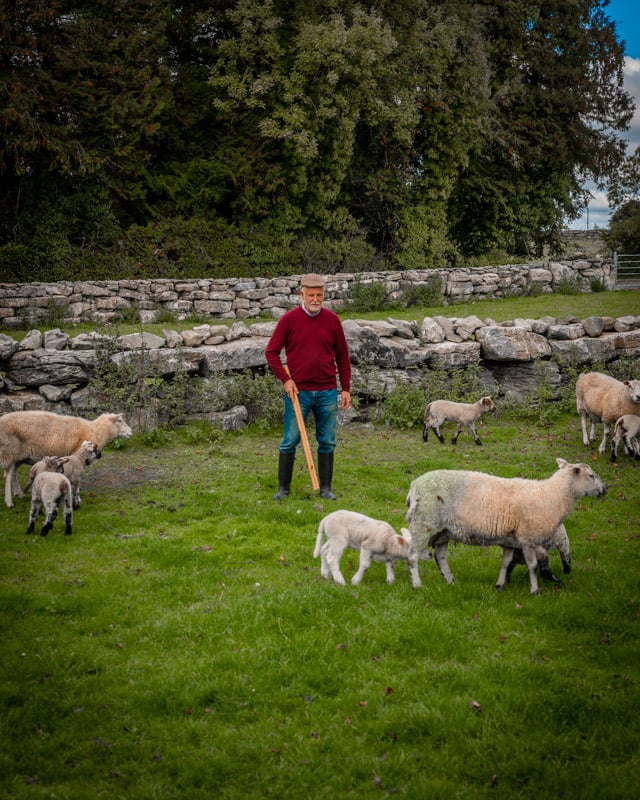 Rathbaun Farm in County Galway.