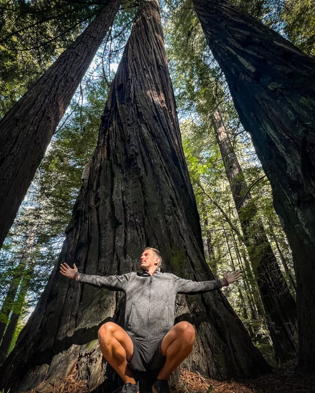 Hiking through Redwood National Park in California