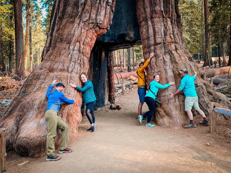 Loved crossing these redwoods and giant sequoias off my bucket list