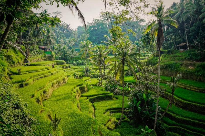 Bucket list goals in Bali