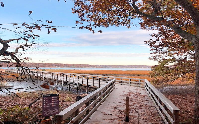 Sagamore Hill National Historic Site is the former home of Theodore Roosevelt, preserving history and nature.