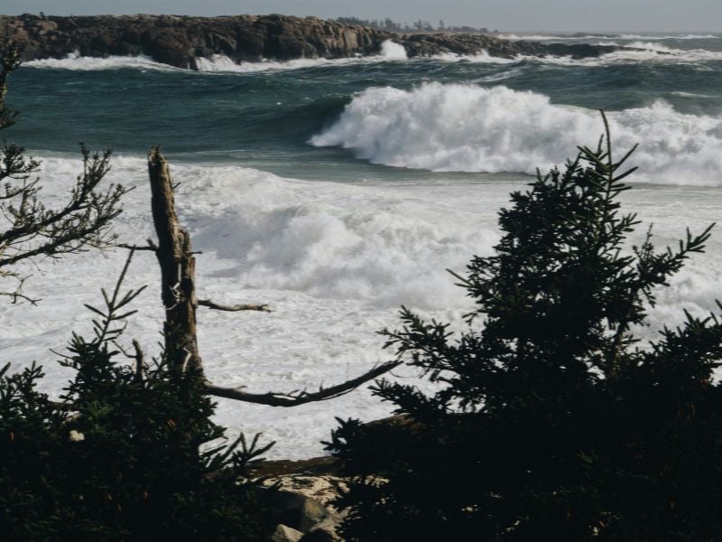 Schoodic Peninsula stands out as a picturesque destination in Maine, offering an ideal retreat to escape the hustle