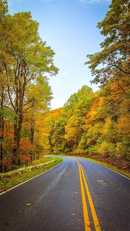 Shenandoah National Park is a great east coast trip idea, particularly if you live in any of the Mid-Atlantic states.