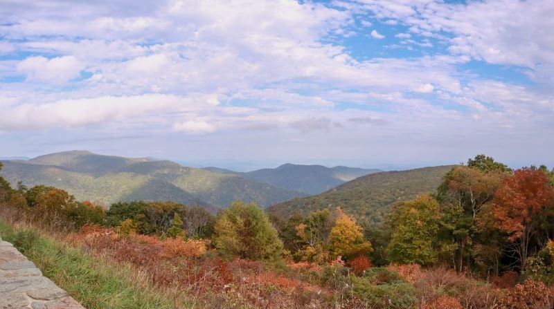Immerse yourself in the scenic wonders of Skyline Drive, a route that paints a canvas of awe-inspiring landscapes