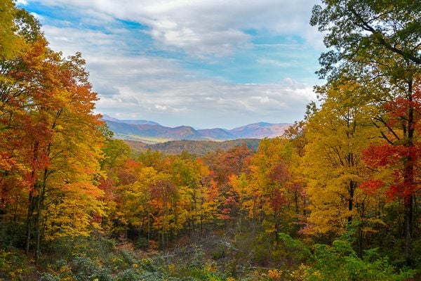 Autumnal landscape of the Great Smoky Mountains showcasing vibrant fall colors and foggy hills