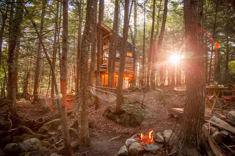 Image showing Stone City Treehouse exterior at sunrise