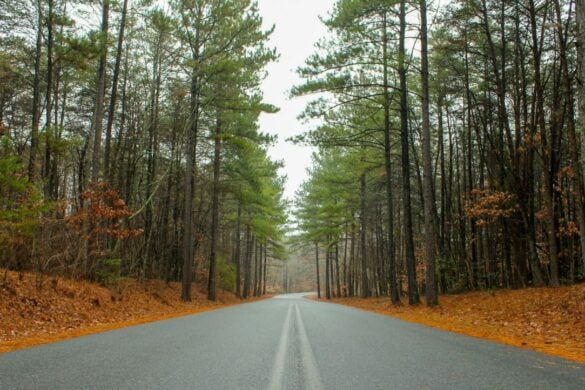My Best North Carolina Road Trip Itinerary of 2026 (3 Weeks)