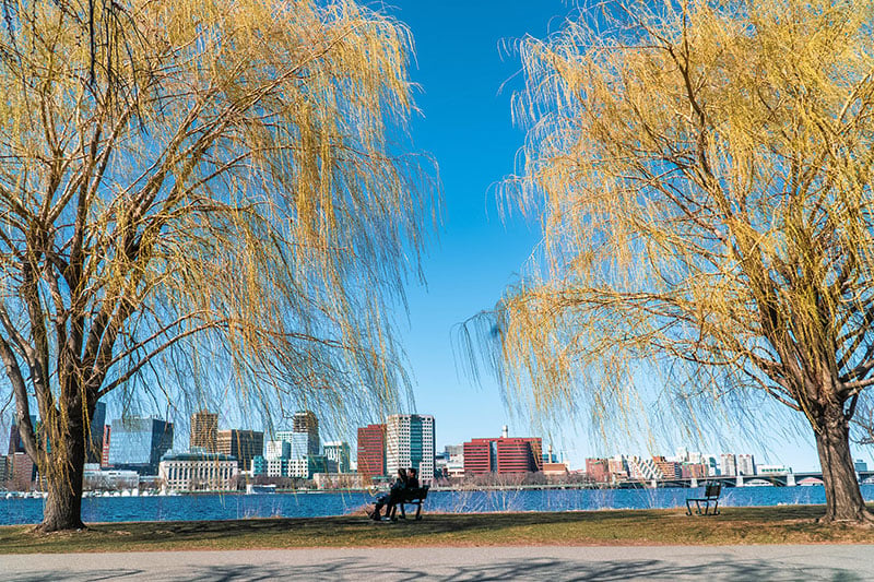 Charles River Esplanade, a riverside beauty, leisurely strolls, and a peaceful escape in bustling Boston