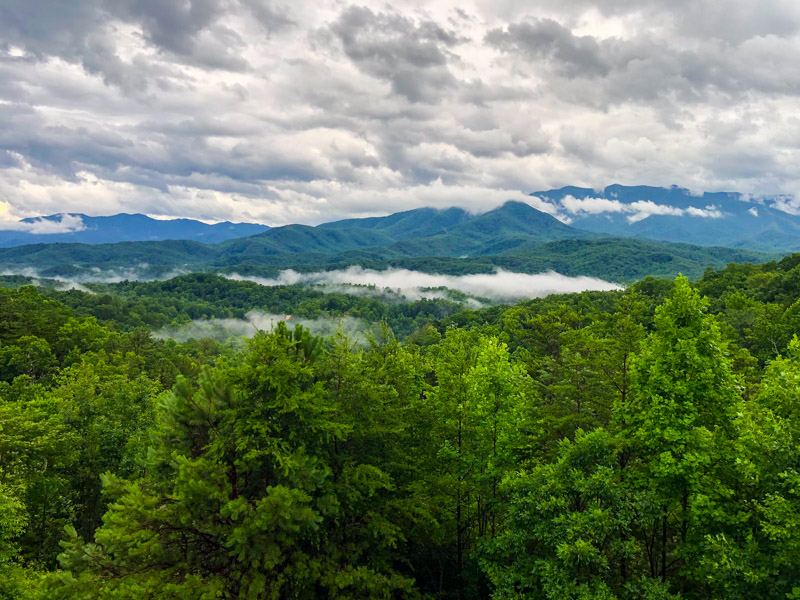Explore the Great Smoky Mountains, Tennessee: a land of ancient forests and boundless adventure