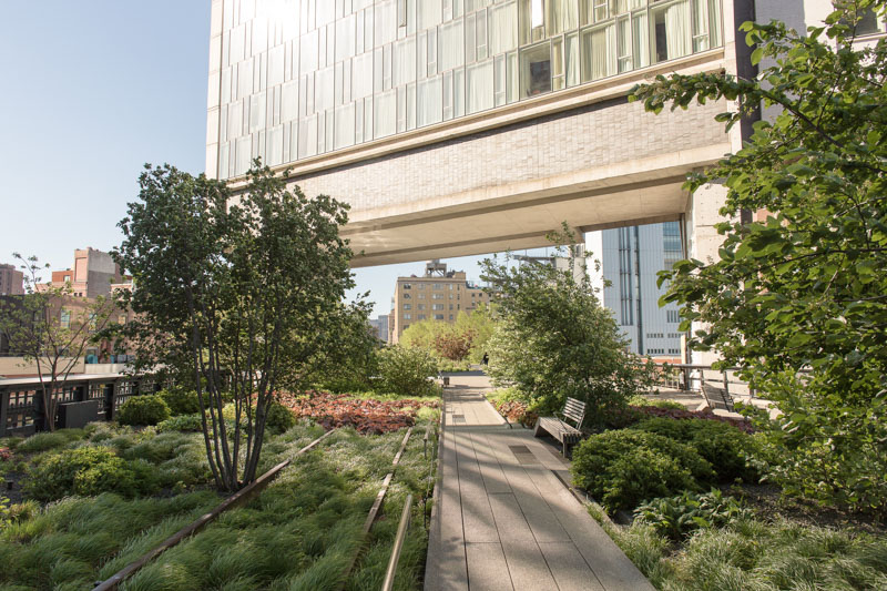 Seek nature, art, and urban vibes at The High Line. This elevated park, once a railway, is now a lush oasis.