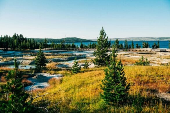 My 7-Day Yellowstone Road Trip Itinerary (With 2026 Info)