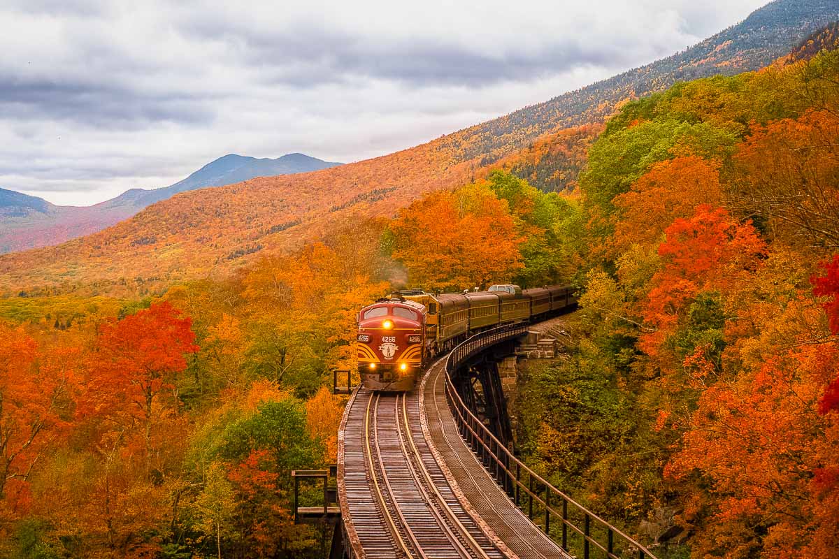 Things to do in North America Featured Image