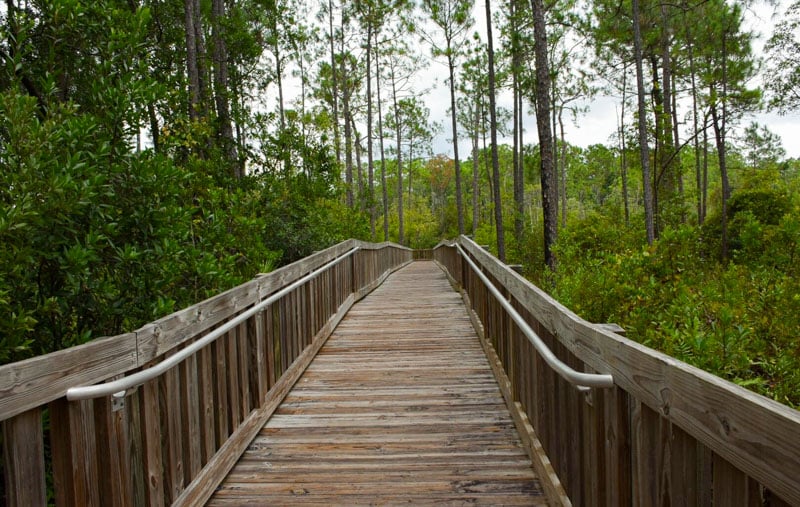 Tibet-Butler Preserve is a nature escape from urban sprawl with 440-acre sanctuary.
