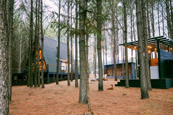 Top 10 Fall Foliage Airbnbs in Vermont in 2026