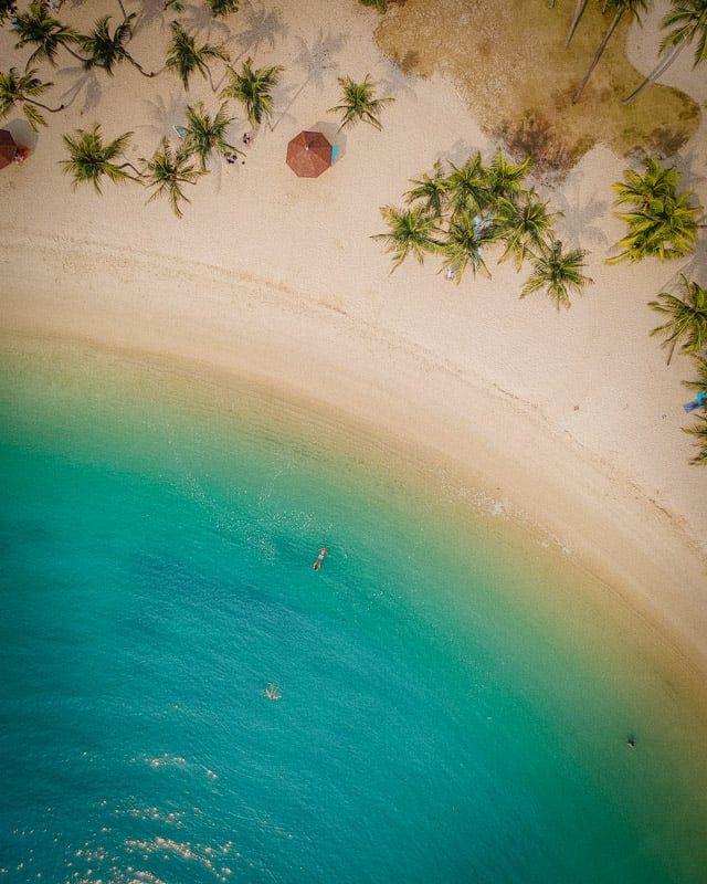 Aerial view of a beach with white sand, palm trees and clear blue water