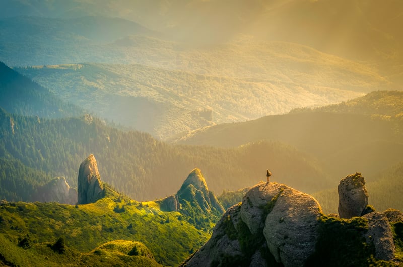 Buying travel insurance is a wise thing to do while on nature trips 