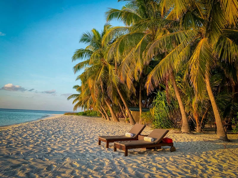Idyllic tropical beach scene with turquoise water, white sand, and lush palm trees against a backdrop of a clear blue sky