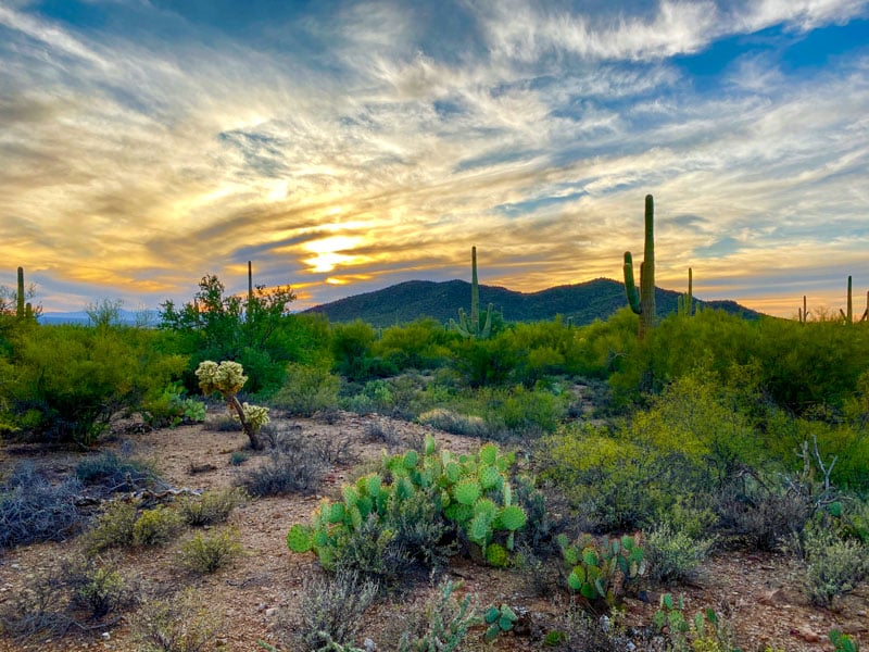 Tucson, Arizona, blends desert beauty, history, outdoor adventure, and culture.