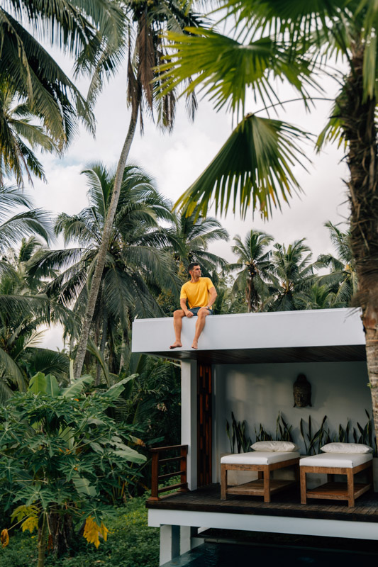 Soaking in the lush forests of Southeast Asia