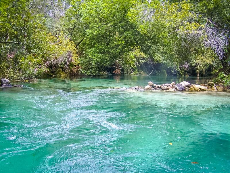 Weeki Wachee State Park is one of Florida's best hidden gems.