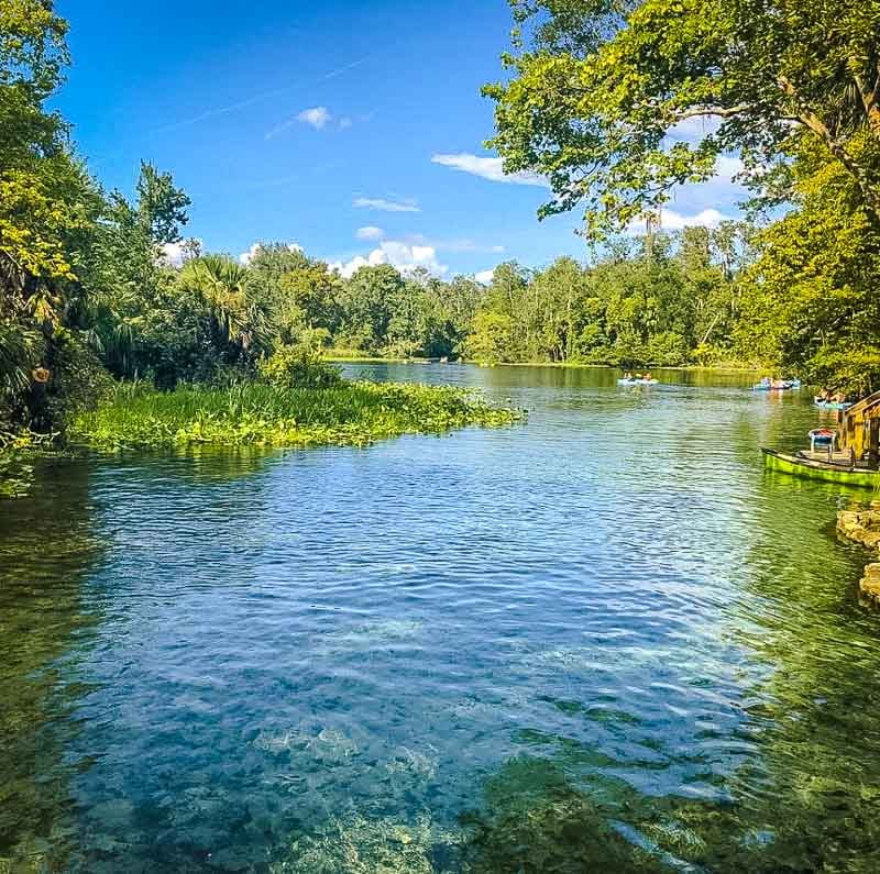 Wekiwa Springs State Park is one of the most unique places to visit in Florida.