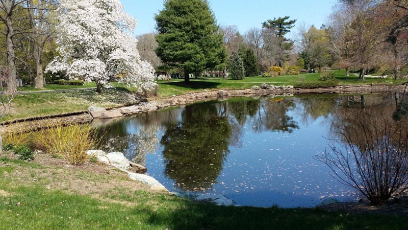 Amidst the bustling Greater Boston area, West Newton is a serene neighborhood that has a sweet, rural charm.