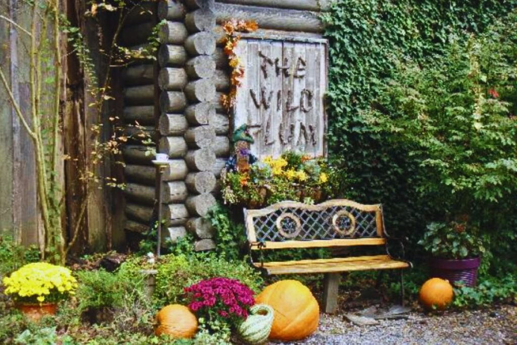 Wild Plum Tea Room, a charming eatery that offers a unique dining experience