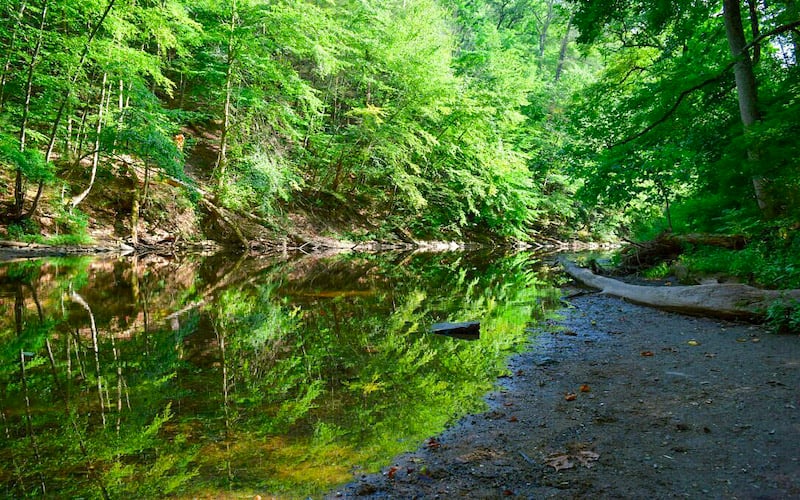 Wissahickon Valley Park is a natural haven where wooded trails lead to hidden waterfalls and the city's hustle fades into serene tranquility.
