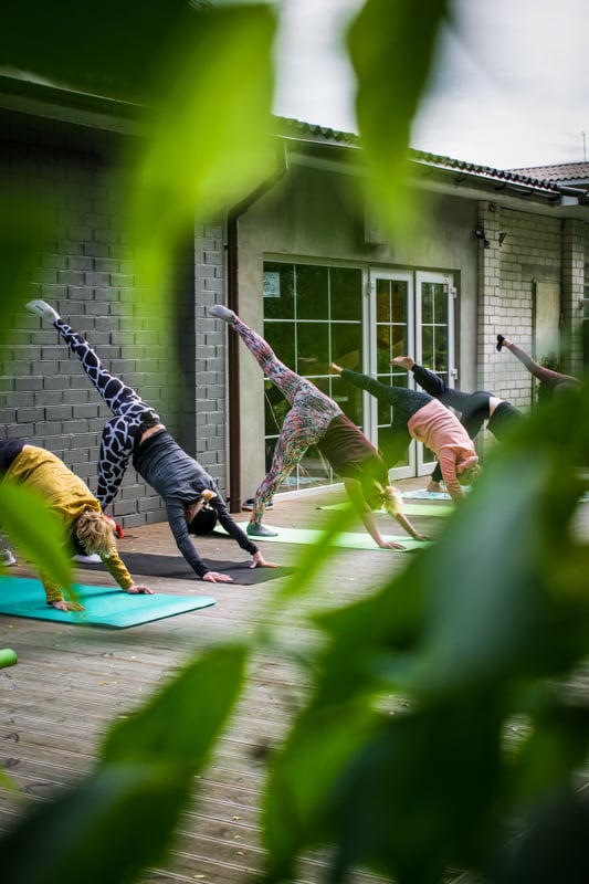 Yoga retreats are quite popular these days.