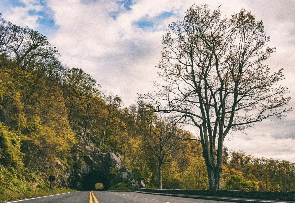Shenandoah National Park
