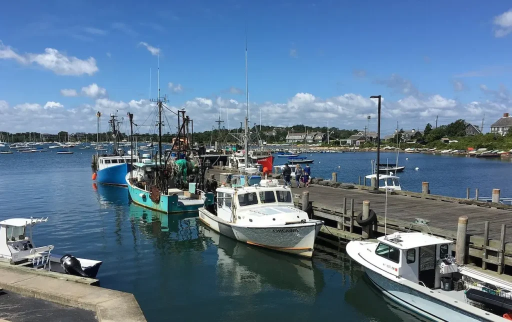 Woods Hole