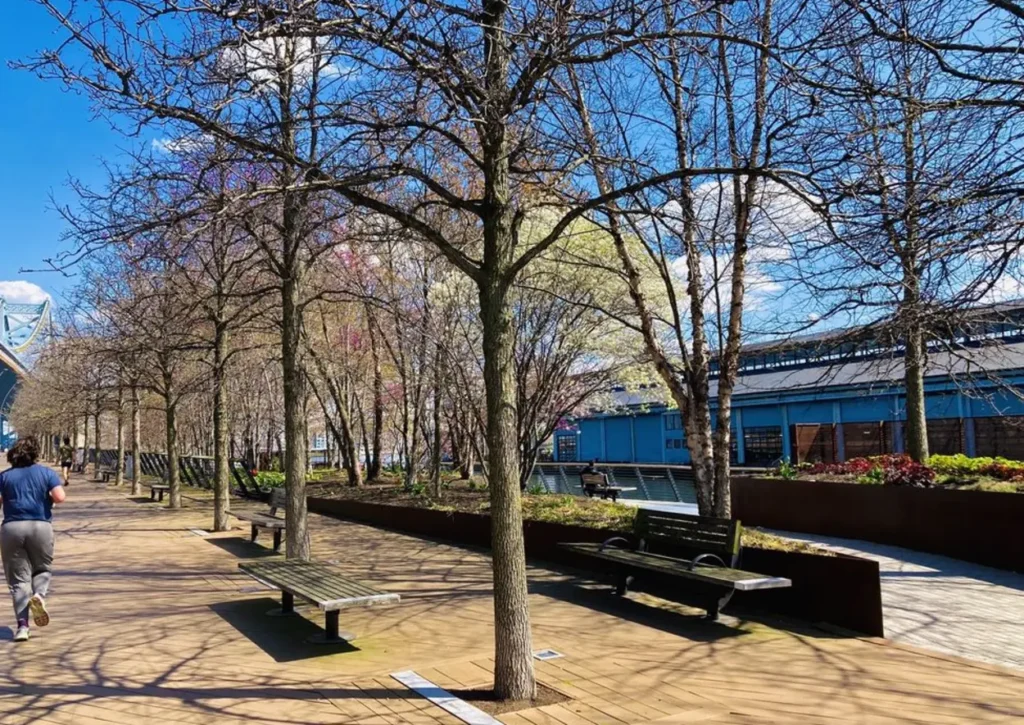 Race Street Pier