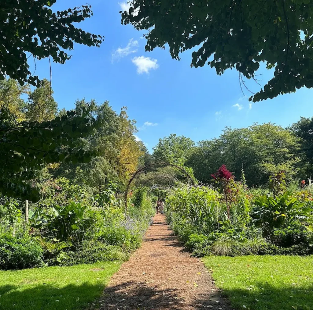 Chanticleer