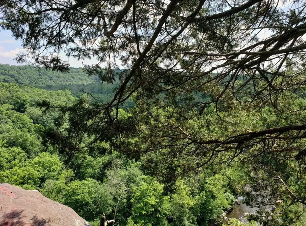 High Rocks Vista
