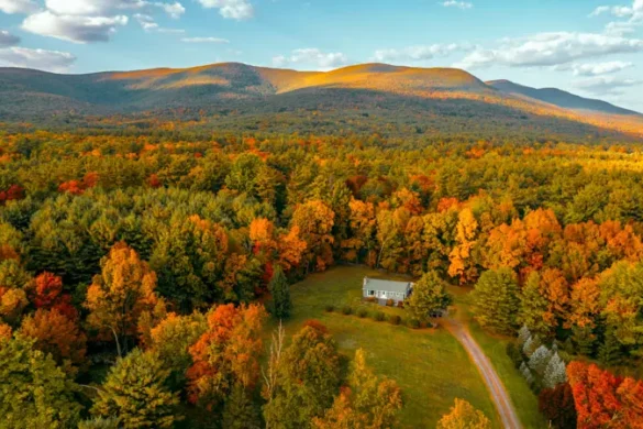15 DREAMY Fall Foliage Airbnbs in the US (Epic Locations + Views)