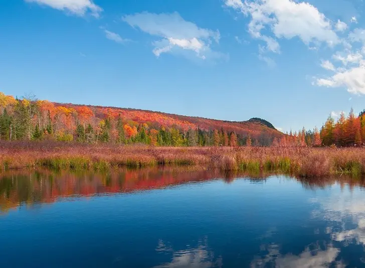 White Mountains