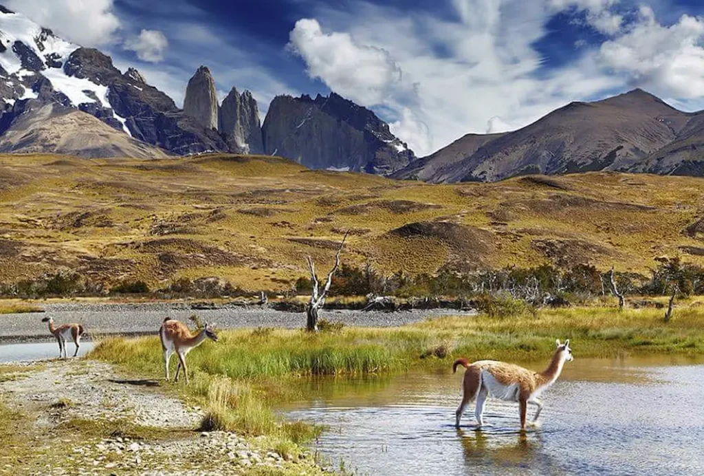 Torres del Paine